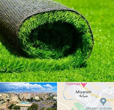 فروش چمن مصنوعی در میانه