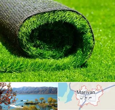 فروش چمن مصنوعی در مریوان