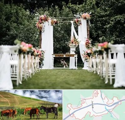 تشریفات مجالس در تالش