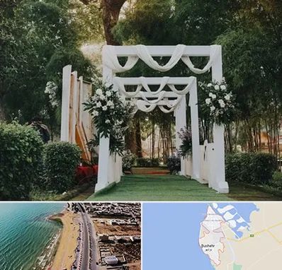 تشریفات عروسی در بوشهر