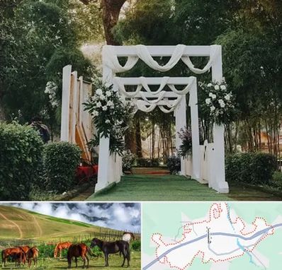 تشریفات عروسی در تالش