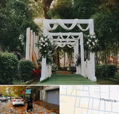 تشریفات عروسی در خیابان فلسطین