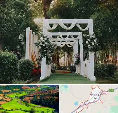 تشریفات عروسی در نکا