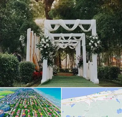 تشریفات عروسی در فریدونکنار