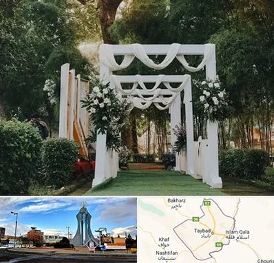 تشریفات عروسی در تایباد