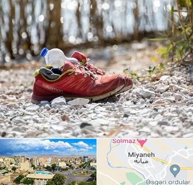 عمده فروشی کفش اسپرت در میانه