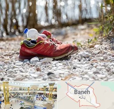 عمده فروشی کفش اسپرت در بانه