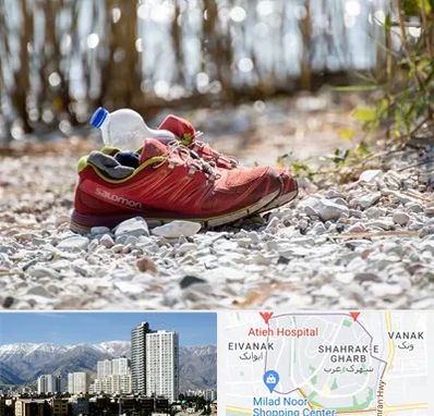 عمده فروشی کفش اسپرت در شهرک غرب 