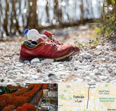 عمده فروشی کفش اسپرت در ولیعصر 