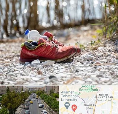 عمده فروشی کفش اسپرت در شهران 