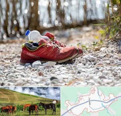 عمده فروشی کفش اسپرت در تالش