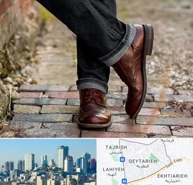 کفش چرم مردانه در قیطریه 