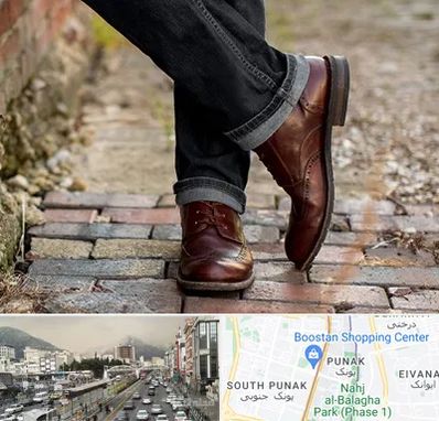 کفش چرم مردانه در پونک 