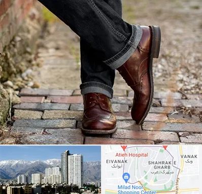 کفش چرم مردانه در شهرک غرب 