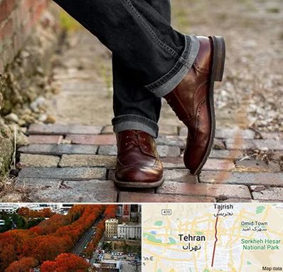 کفش چرم مردانه در ولیعصر 