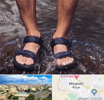 کفش صندل مردانه در میانه