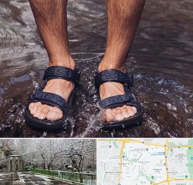 کفش صندل مردانه در باغ فیض