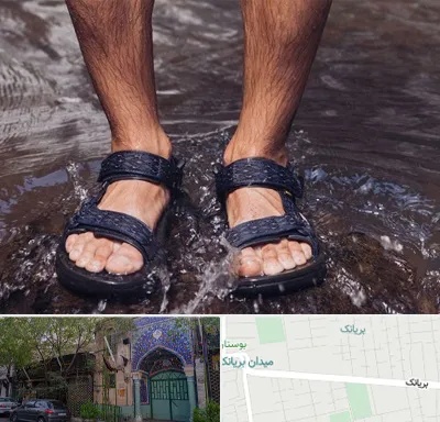 کفش صندل مردانه در بریانک