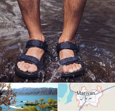 کفش صندل مردانه در مریوان