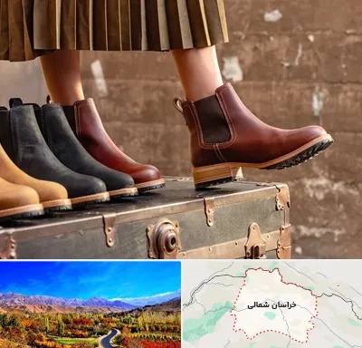 کفش چرم زنانه در خراسان شمالی