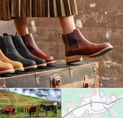 کفش چرم زنانه در تالش