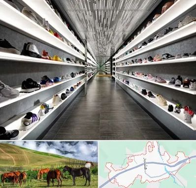 عمده فروشی کفش در تالش