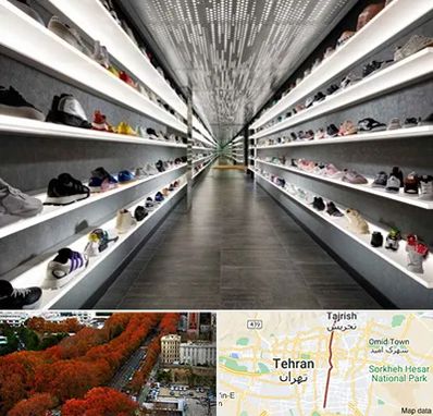 عمده فروشی کفش در ولیعصر 