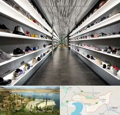 عمده فروشی کفش در شبستر