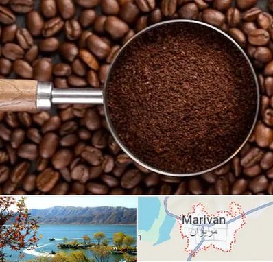 آسیاب قهوه در مریوان