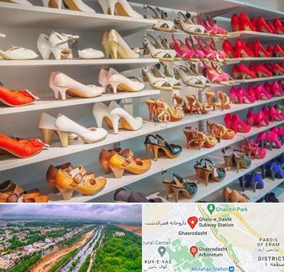 عمده فروشی کفش زنانه در قصرالدشت شیراز 