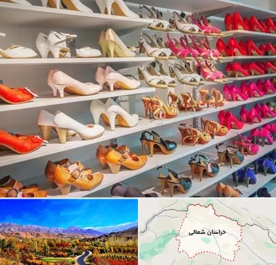 عمده فروشی کفش زنانه در خراسان شمالی