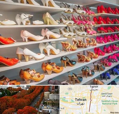 عمده فروشی کفش زنانه در ولیعصر 