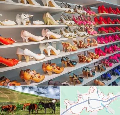 عمده فروشی کفش زنانه در تالش