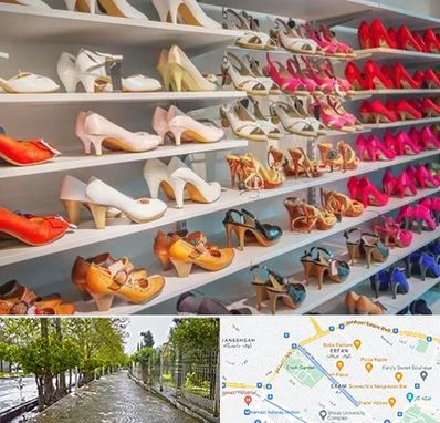عمده فروشی کفش زنانه در خیابان ارم شیراز 