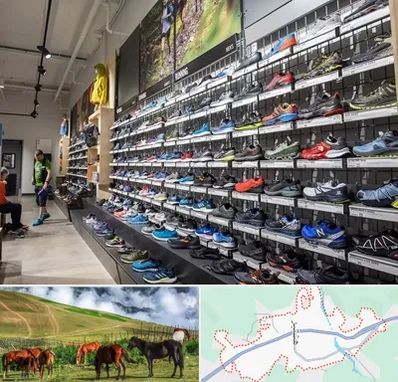 عمده فروشی کفش مردانه در تالش