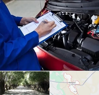 کارشناسی خودرو در باغستان