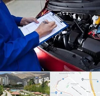 کارشناسی خودرو در شهر زیبا