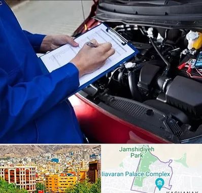 کارشناسی خودرو در نیاوران