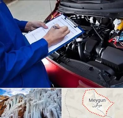 کارشناسی خودرو در میگون