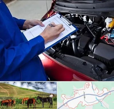 کارشناسی خودرو در تالش