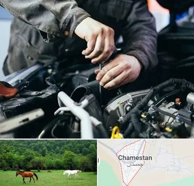 مکانیکی در چمستان