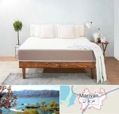 نمایندگی تشک رویال در مریوان