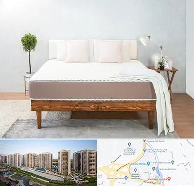 نمایندگی تشک رویال در المپیک 