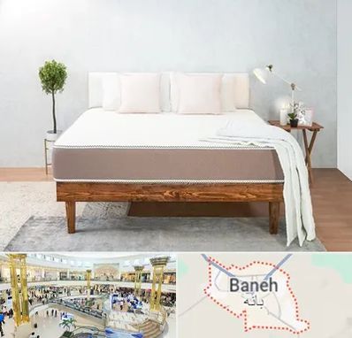 نمایندگی تشک رویال در بانه