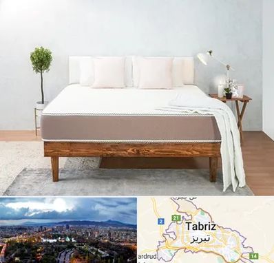 نمایندگی تشک رویال در تبریز