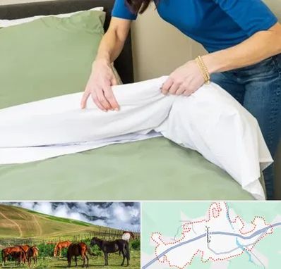 مرکز فروش روتختی در تالش