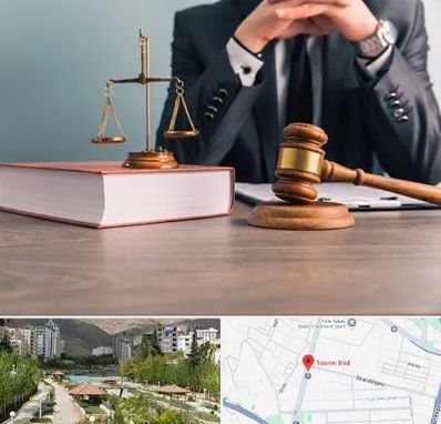 وکیل قتل در بلوار تعاون