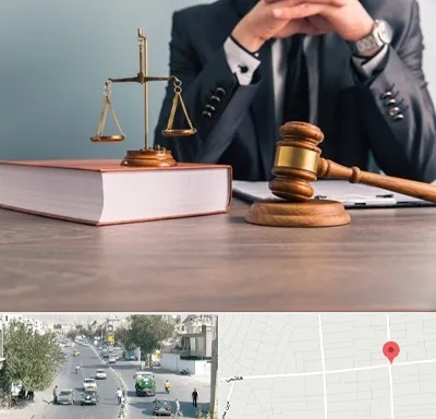 وکیل قتل در هاشمی