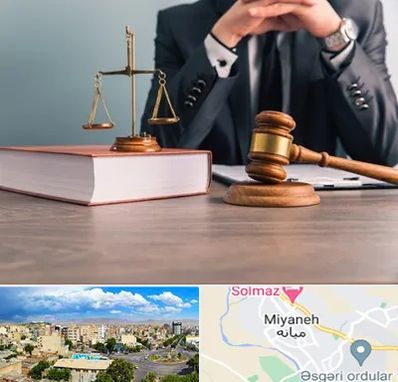 وکیل قتل در میانه