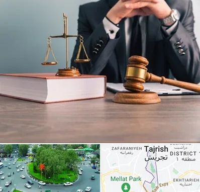 وکیل قتل در تجریش 